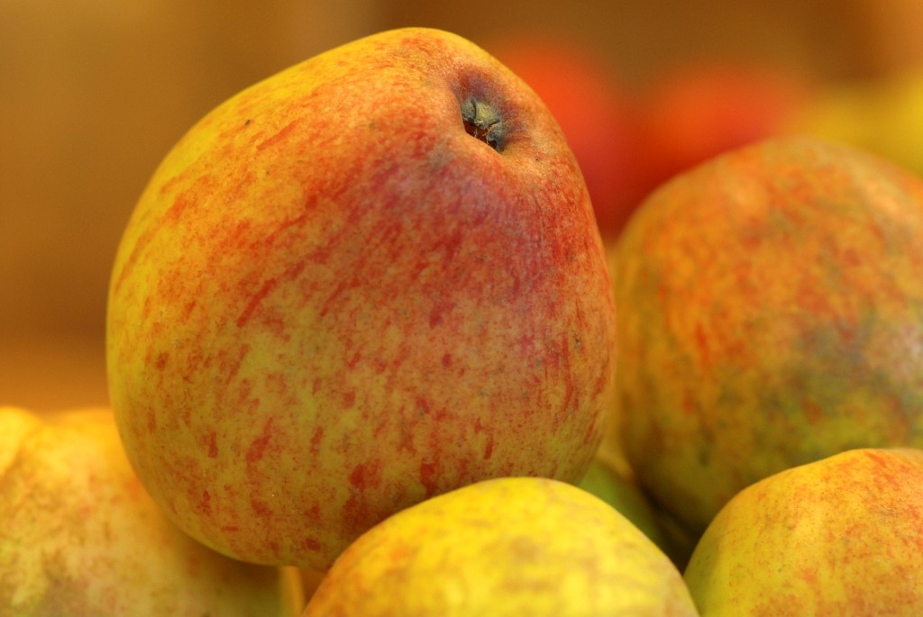 Herefordshire Cider Tour - Saturday 29th March