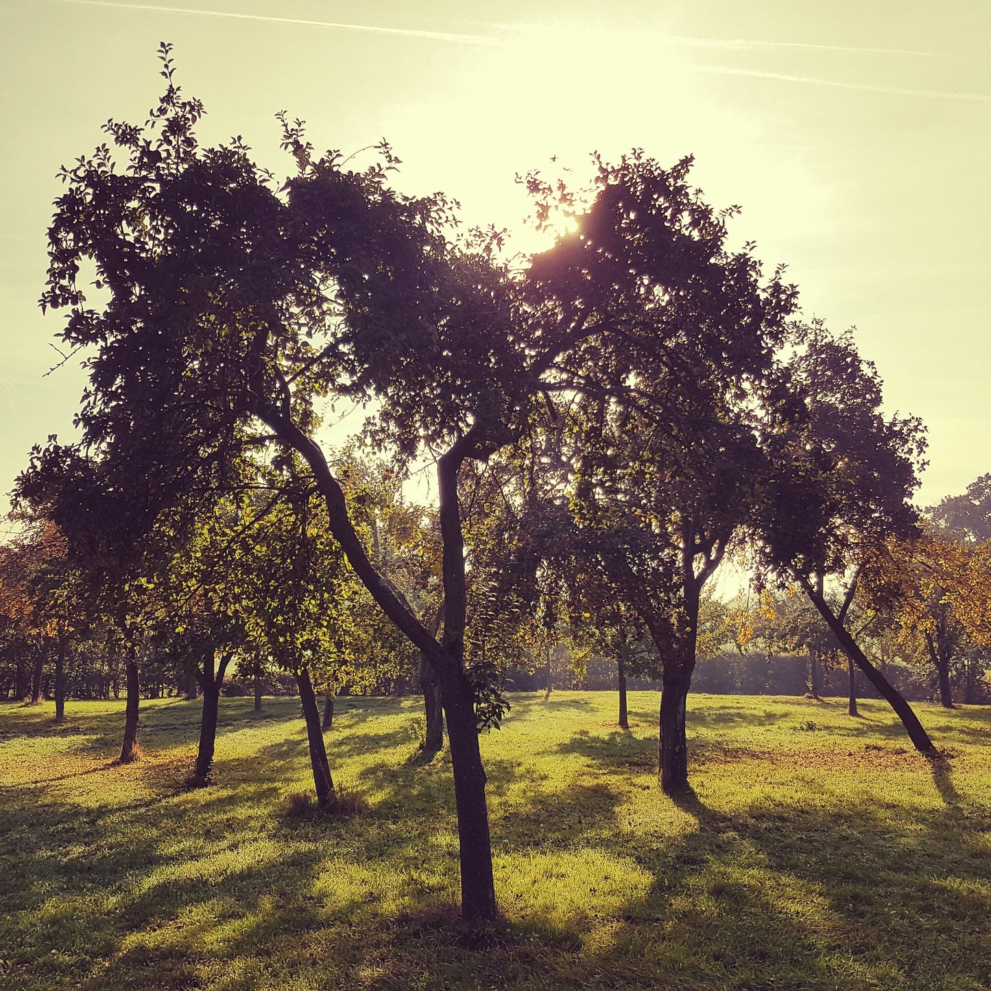 Bespoke Tours & Tastings