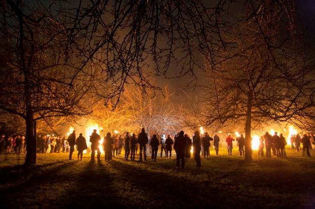 Cider Flux