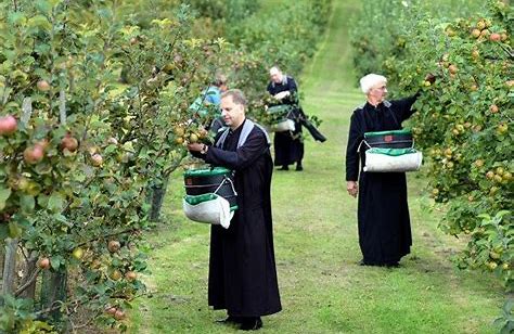 The Ciderologist's View #2: We Need to Talk about Cider