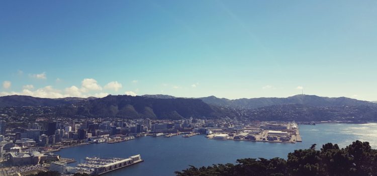 Global Cider Tour Part 2: Cyclone Cook invades NZ